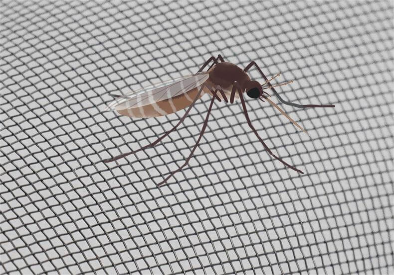 202310241630461219.jpg 202305191532207344.jpg